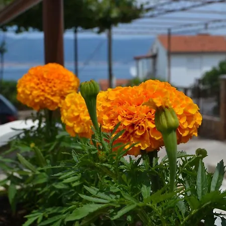 Marina Trogir
